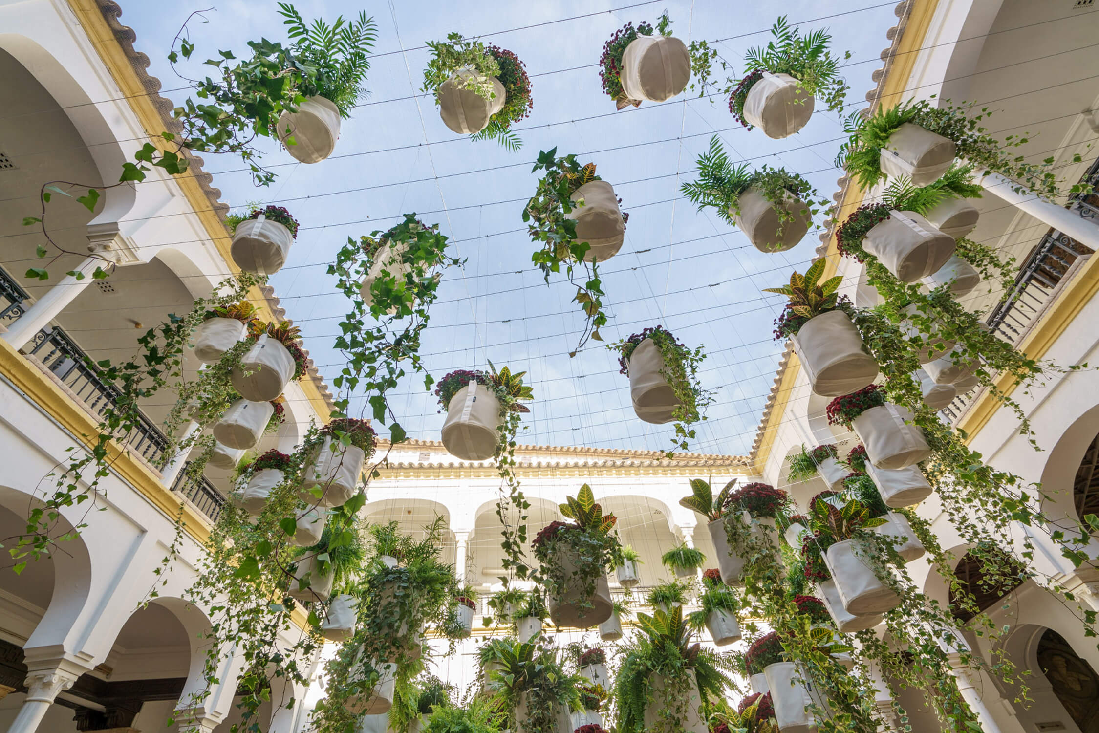 Flora_Cordoue_Patrick_Nadeau_13