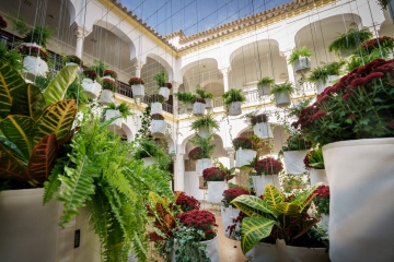 Flora_Cordoue_Patrick_Nadeau_3