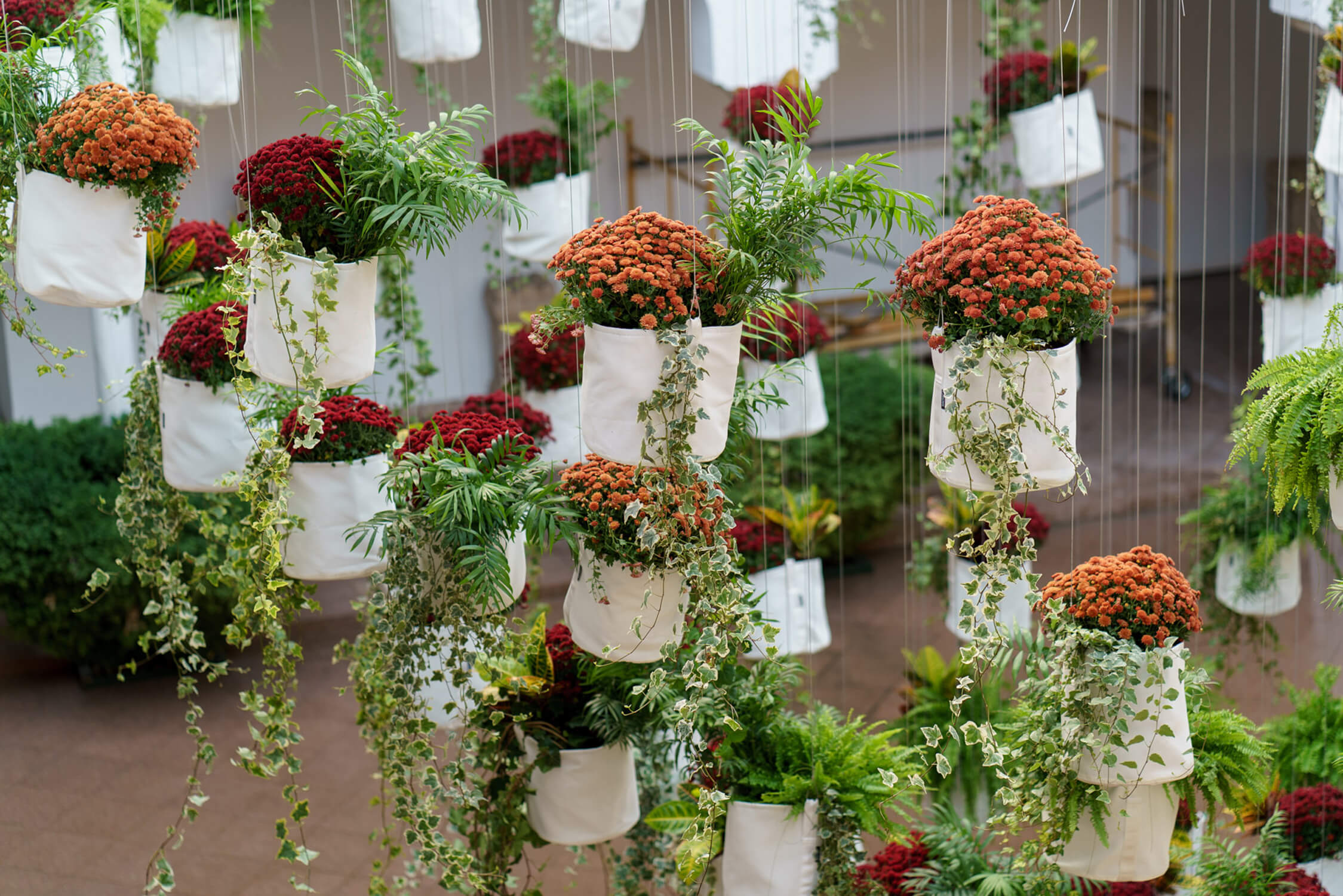 Flora_Cordoue_Patrick_Nadeau_8