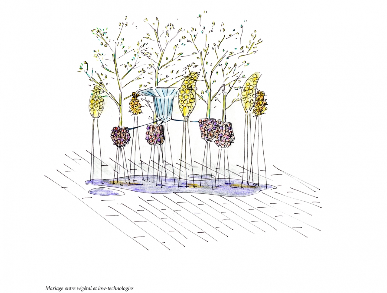 Patrick_Nadeau_Austerlitz_Croquis1
