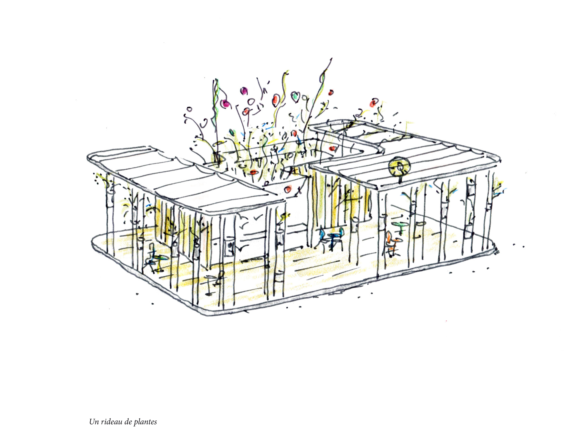 Patrick_Nadeau_Austerlitz_Croquis2