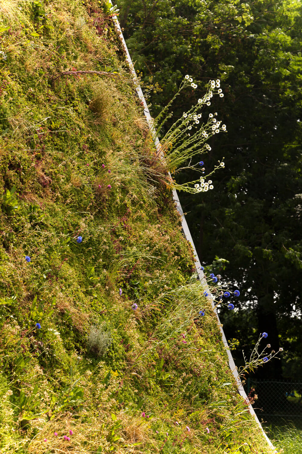 nadeau_effort-rémois_maison-vague_©ternisien_(16)