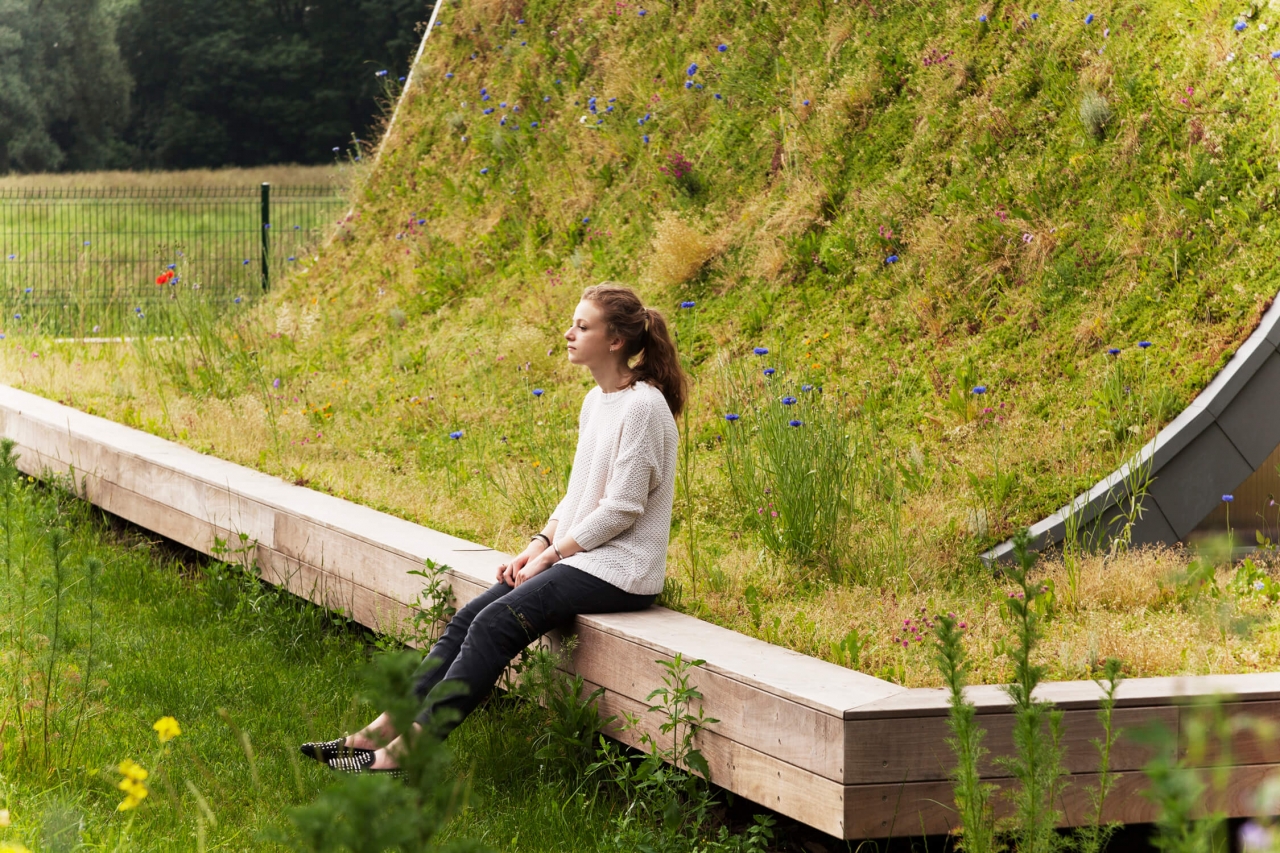 nadeau_effort-rémois_maison-vague_©ternisien_(4)