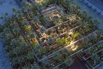 C'est_le_bouquet_Patrick_Nadeau_Lyon_Maxime_Brochier_3