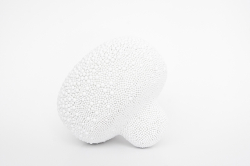 Champignon-de-Paris-Nadeau08