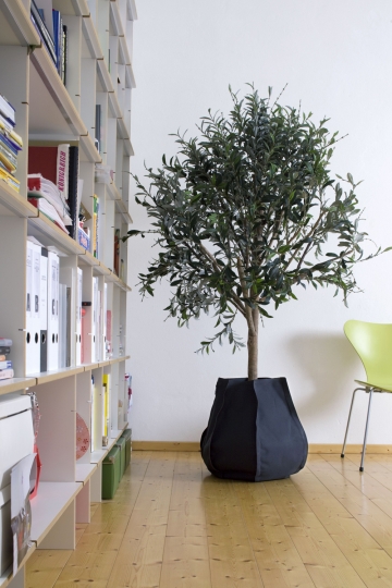 Patrick_Nadeau_Authentics_6