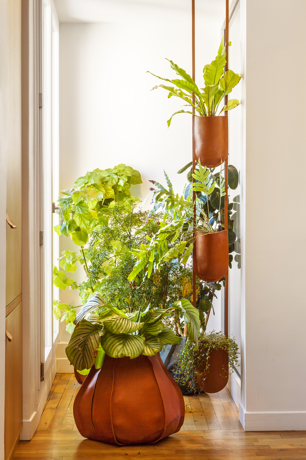 nadeau-fftm_bureau-1©hervé-ternisien