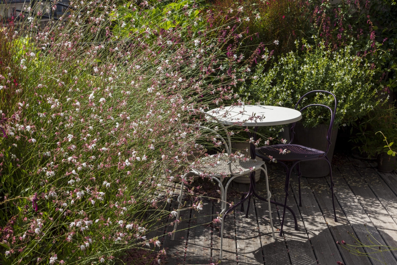 nadeau-fftm_terrasse-10©hervé-ternisien