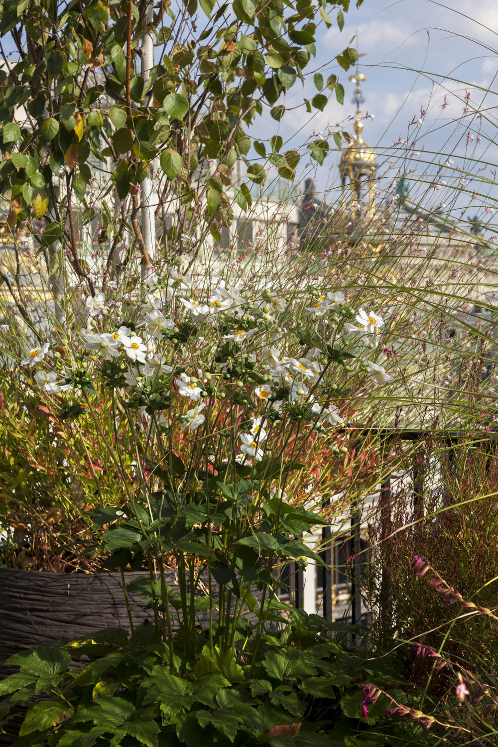 nadeau-fftm_terrasse-13©hervé-ternisien