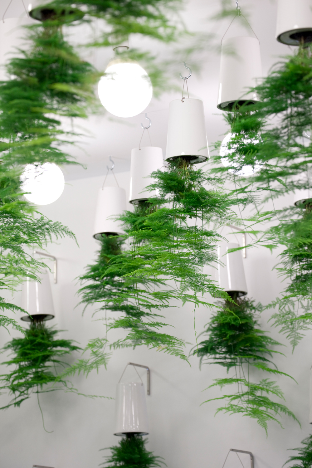 nadeau-greenwaters-idéobain_hervé-ternisien(10)