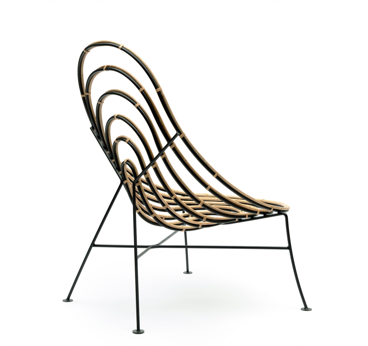 nadeau-lianas-11_©hervé-ternisien