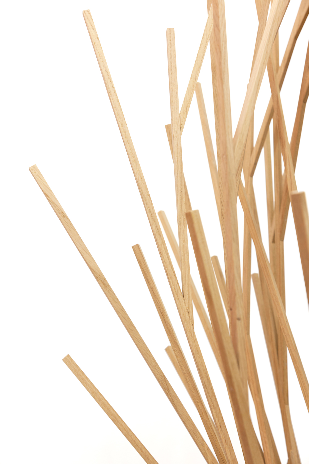 nadeau-topiaire-détail