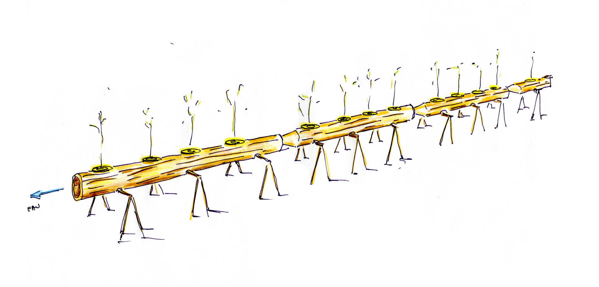 nadeau_salines-royales3-e1637339776320