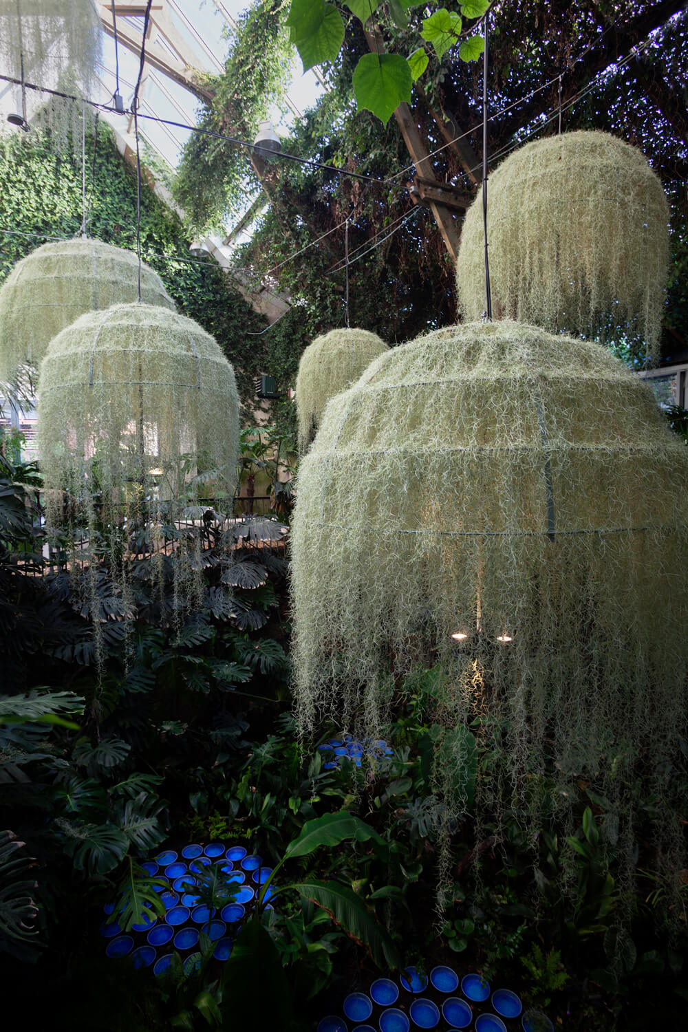 nadeau_rainorest-chaumont_photo_hervé-ternisien_(A)