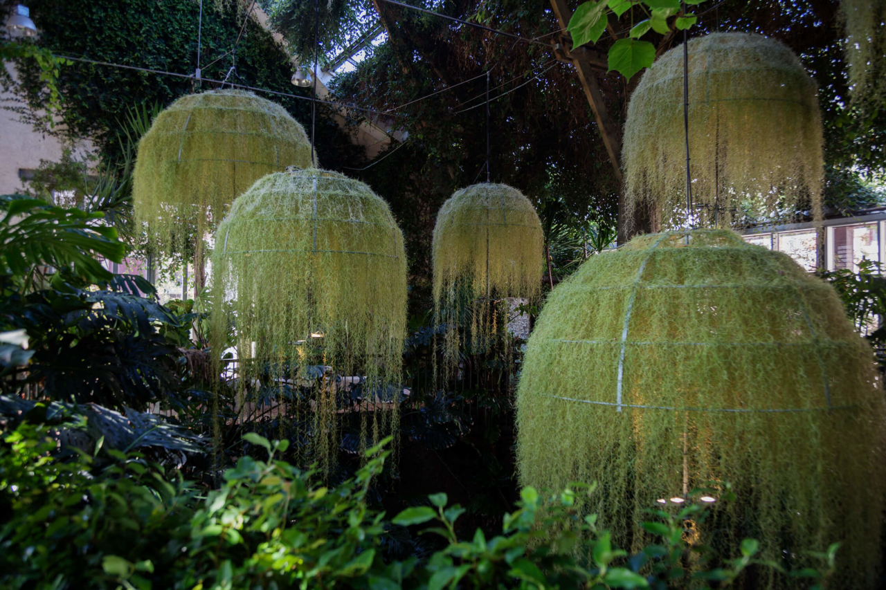 nadeau_rainorest-chaumont_photo_hervé-ternisien_(J)