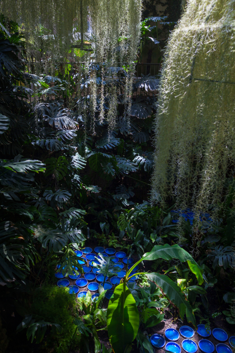 nadeau_rainorest-chaumont_photo_hervé-ternisien_(N)