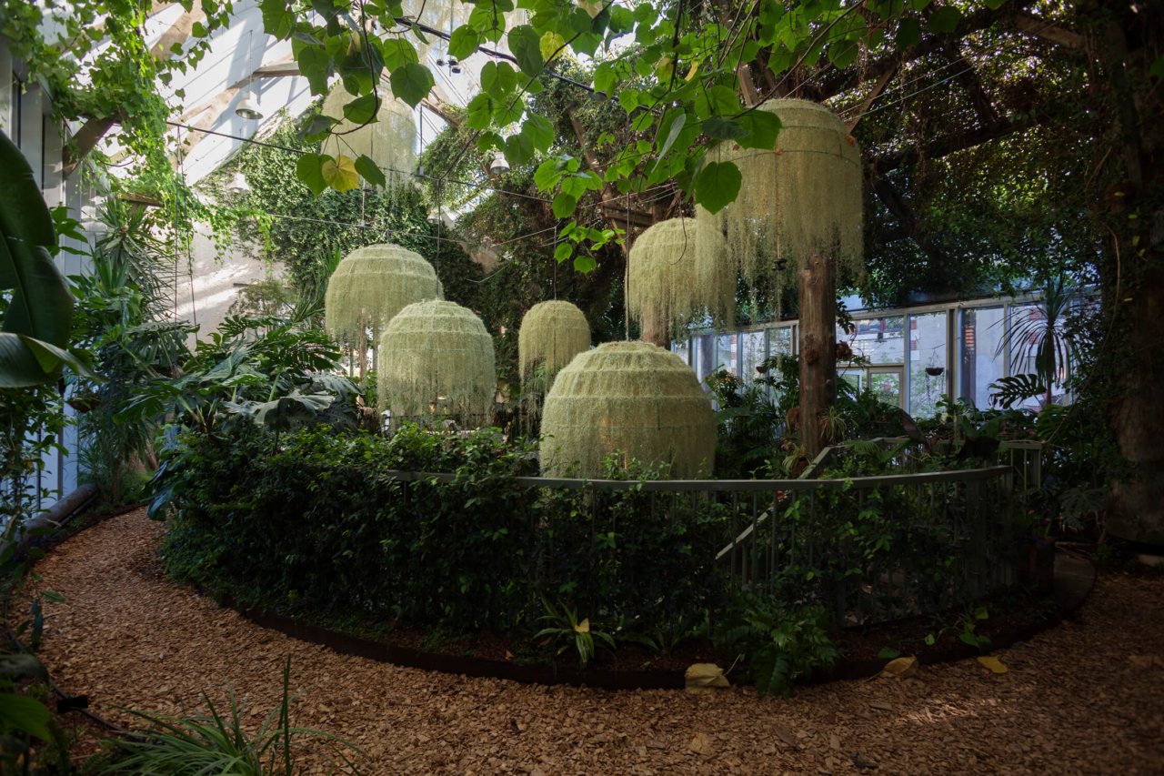 nadeau_rainorest-chaumont_photo_hervé-ternisien_(Q)