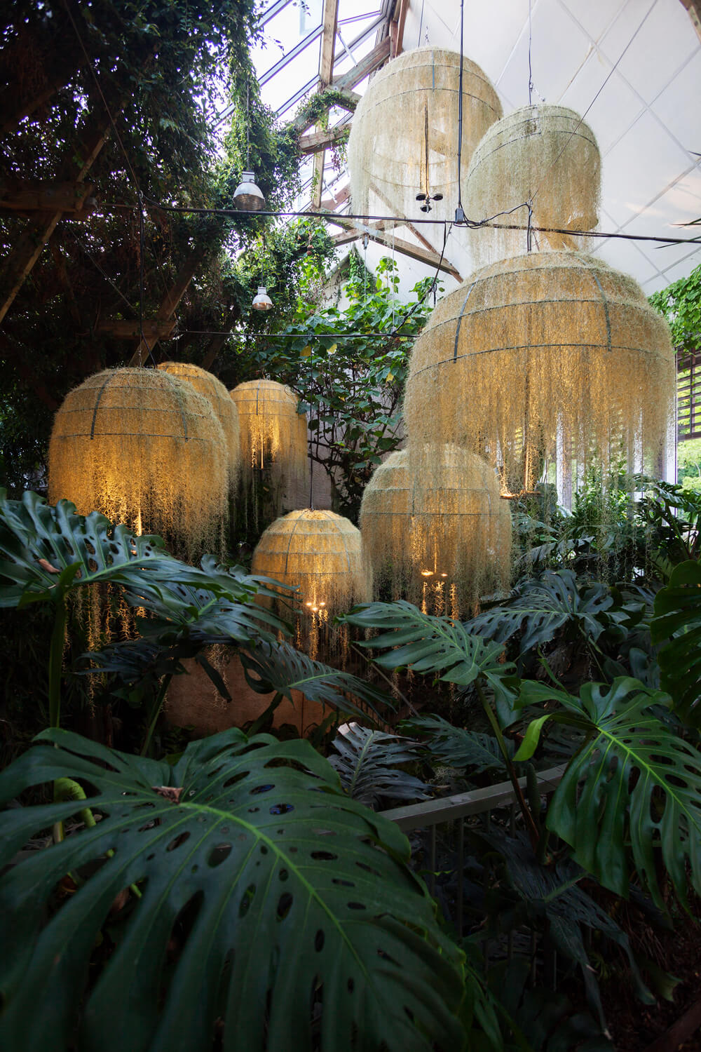 nadeau_rainorest-chaumont_photo_hervé-ternisien_(R)