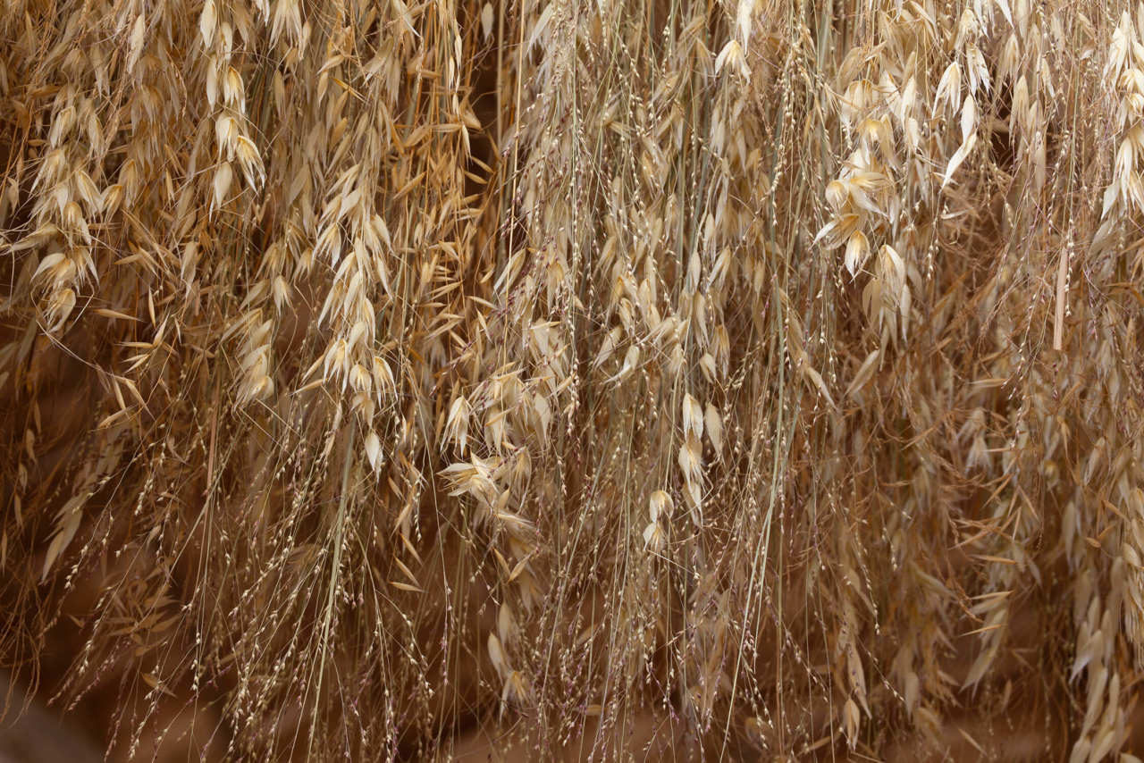 3_nadeau-3CHA_Magdala_19-05-22_©hervé-ternisien BD