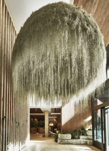 Patrick_Nadeau_2076W_LR_WARM copie