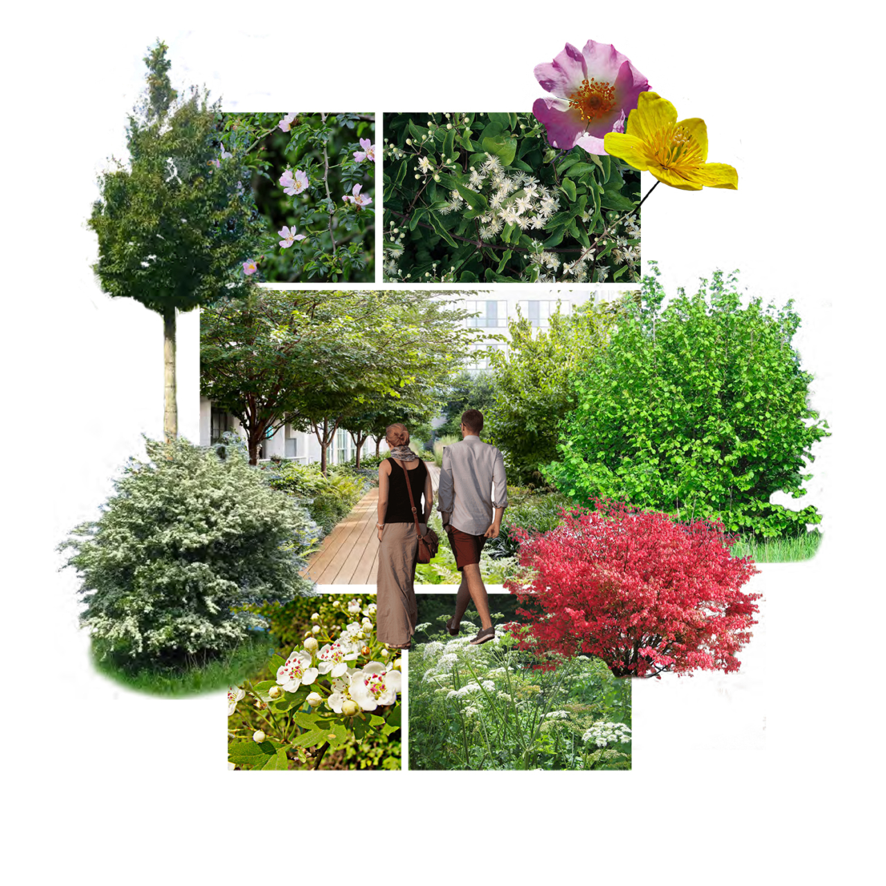 nantes projet (glissé(e)s) 2