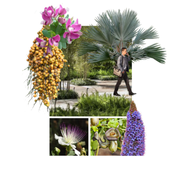 nantes projet (glissé(e)s)