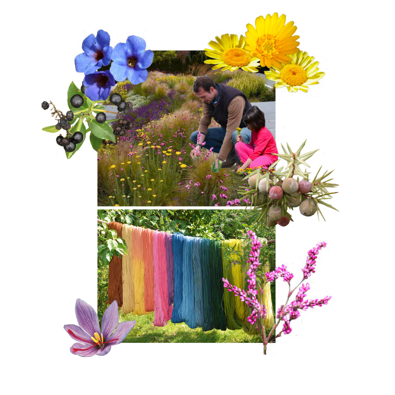 nantes projet (glissé(e)s) 4