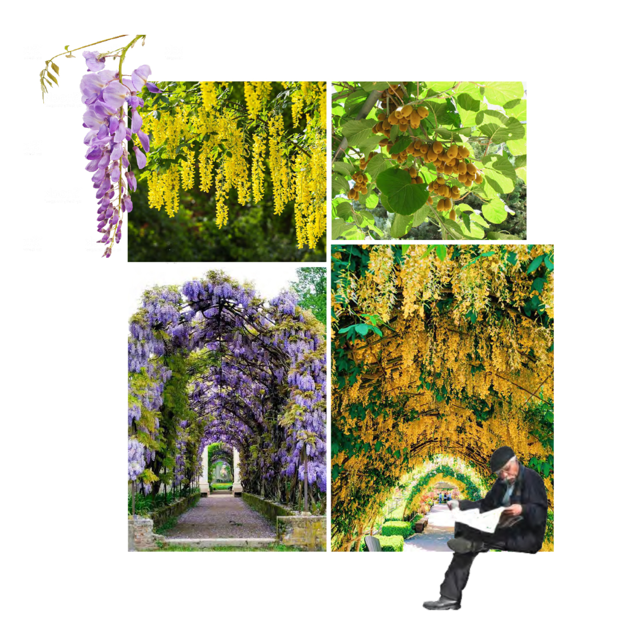 nantes projet (glissé(e)s) 5