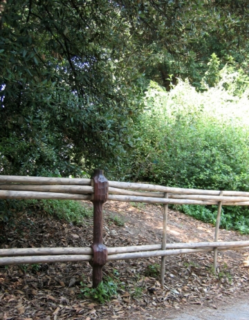 JARDIN DES PLANTES_pnadeau_3