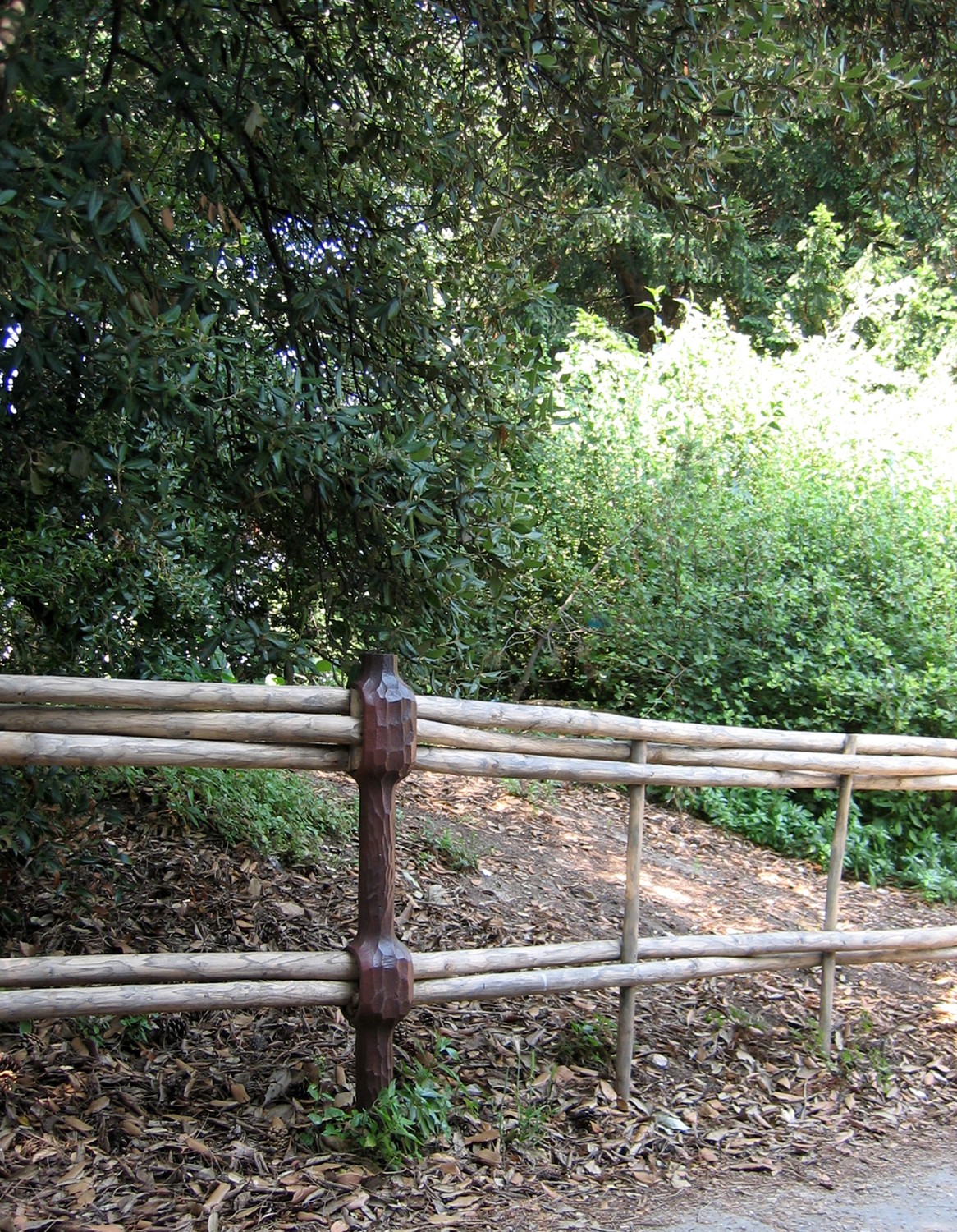 JARDIN DES PLANTES_pnadeau_3