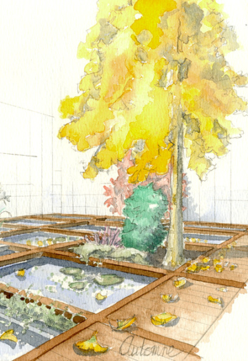 arbre++