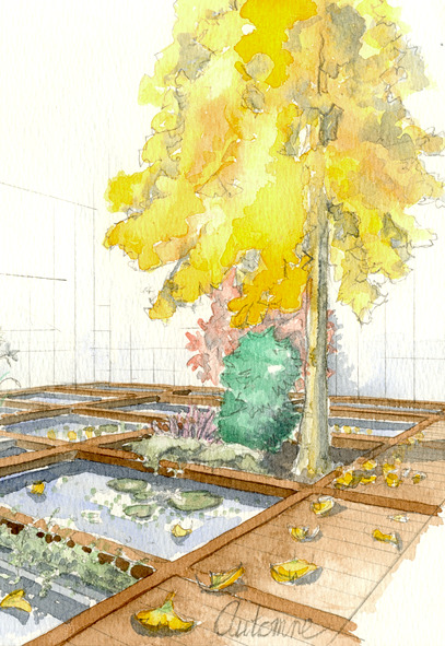 arbre++