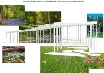 Loire_pnadeau_1