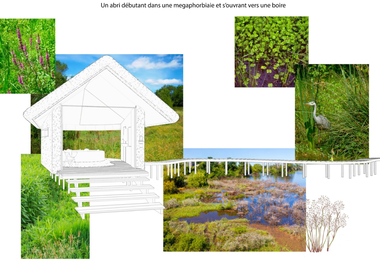 Loire_pnadeau_7