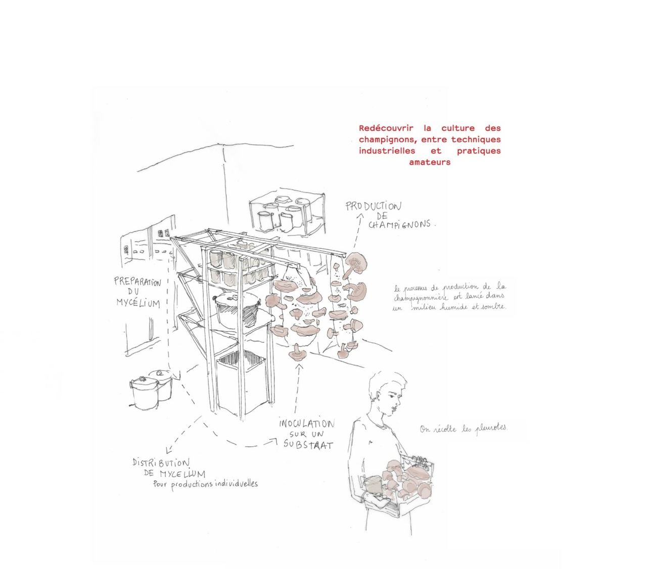 projet_pnadeau_4